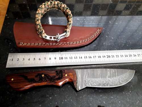 Handmade Damascus steel HUNTING Knife with Wooden handle scales w an eagle engraved. Free Bracelet.
