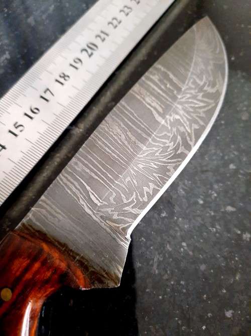 Handmade Damascus steel HUNTING Knife with Wooden handle scales w an eagle engraved. Free Bracelet.