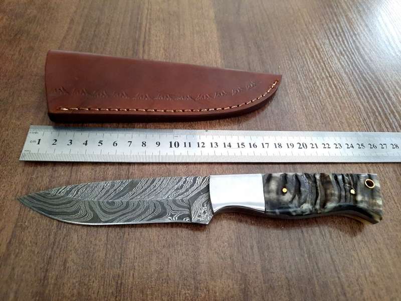 Handmade Damascus steel HUNTING  knife with RAM HORN handle scales. Perfect X-mas Gift !!