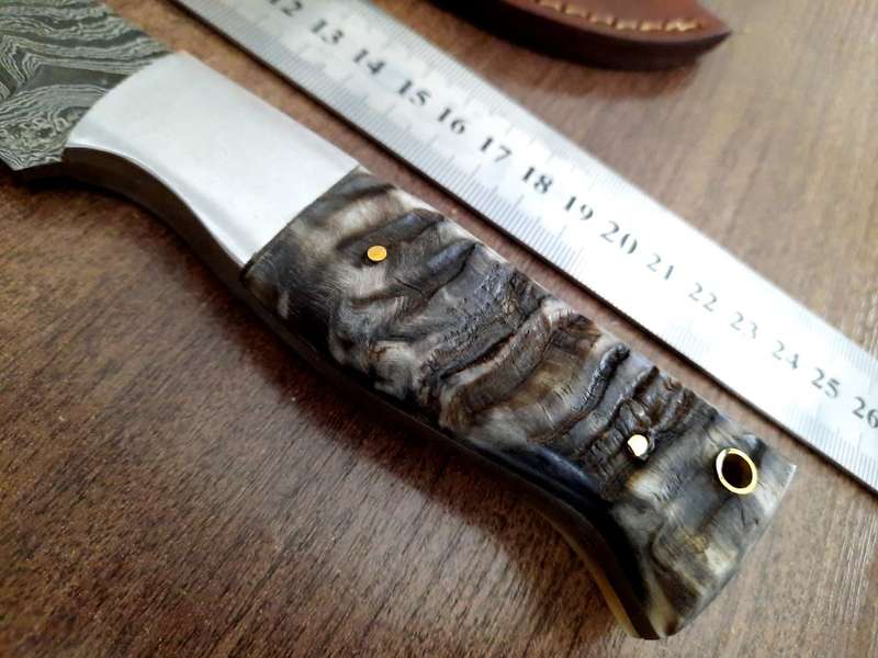 Handmade Damascus steel HUNTING  knife with RAM HORN handle scales. Perfect X-mas Gift !!