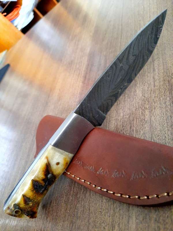 Handmade Damascus steel HUNTING  knife with RAM HORN handle scales. Perfect X-mas Gift !!