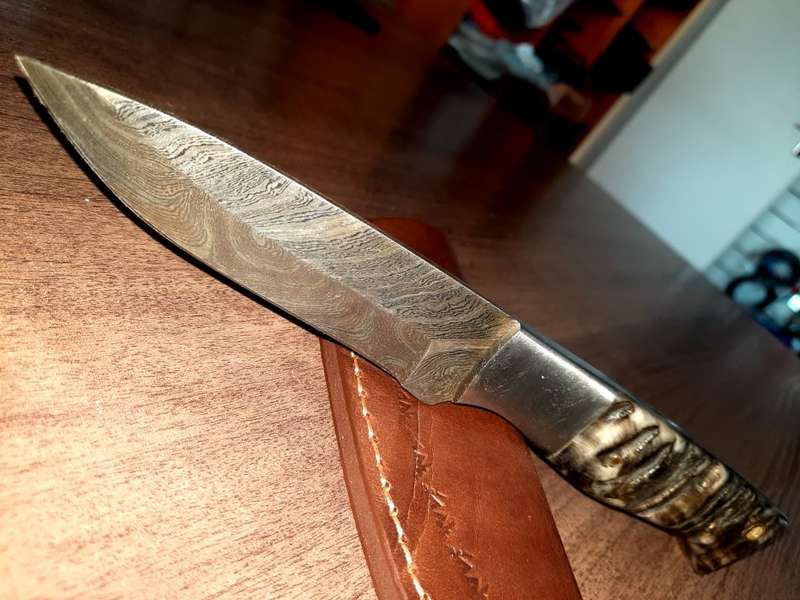 Handmade Damascus steel HUNTING  knife with RAM HORN handle scales. Perfect X-mas Gift !!