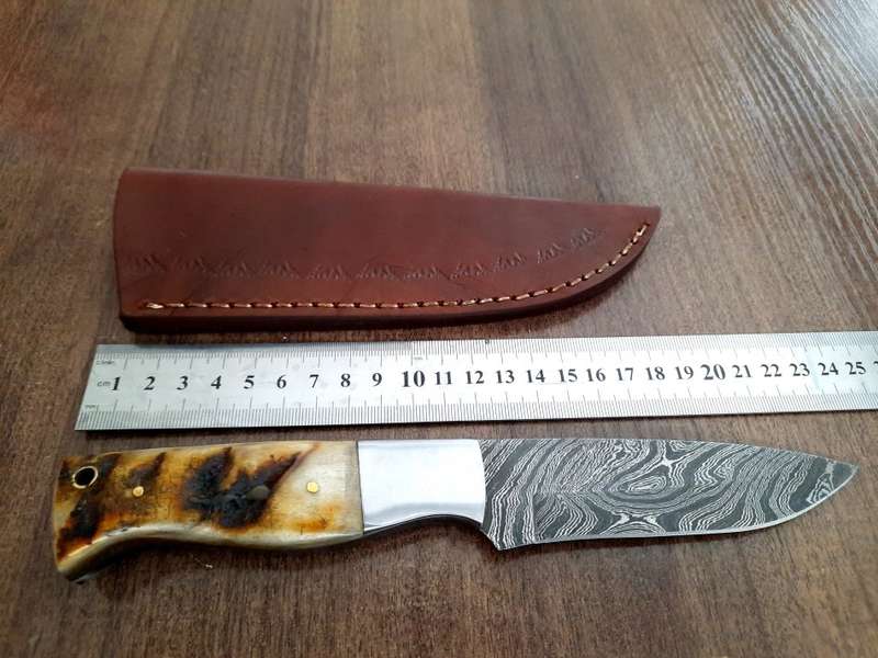 Handmade Damascus steel HUNTING  knife with RAM HORN handle scales. Perfect X-mas Gift !!