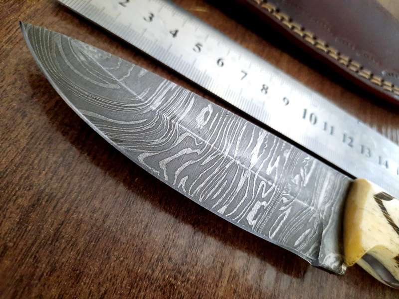 Handmade Damascus steel HUNTING  knife with Camel Bone handle scales Wolf engraved,