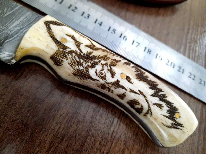 Handmade Damascus steel HUNTING  knife with Camel Bone handle scales Wolf engraved,