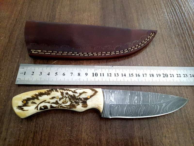Handmade Damascus steel HUNTING  knife with Camel Bone handle scales Wolf engraved,