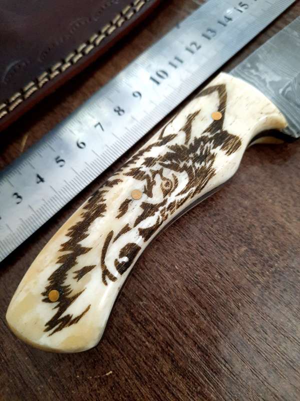 Handmade Damascus steel HUNTING  knife with Camel Bone handle scales Wolf engraved,