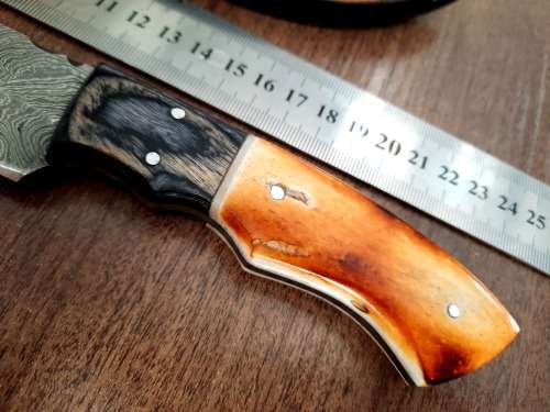 Handmade DAMASCUS Steel Hunting Knife, BURNT Camel Bone & Wooden Handle scales.