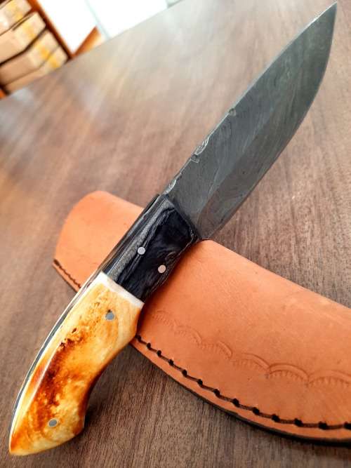 Handmade DAMASCUS Steel Hunting Knife, BURNT Camel Bone & Wooden Handle scales.