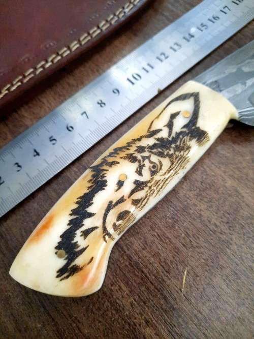 Handmade Damascus steel HUNTING Knife w Camel Bone handle scales, Exact knife you will receive.