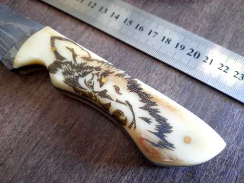 Handmade Damascus steel HUNTING Knife with Camel Bone handle scales, Crazy R1 start.