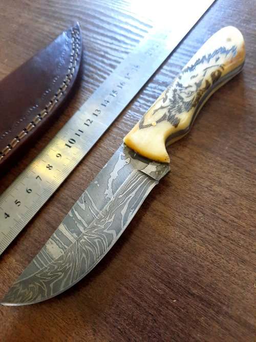 Handmade Damascus steel HUNTING Knife with Camel Bone handle scales, Crazy R1 start.