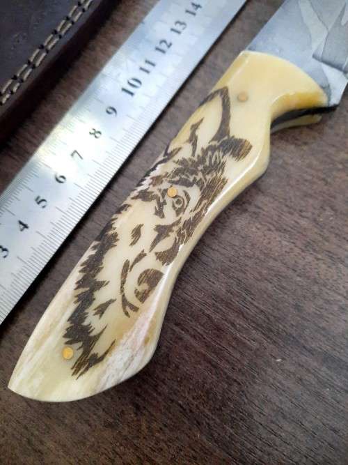 Handmade Damascus steel HUNTING Knife with Camel Bone handle scales, Crazy R1 start.