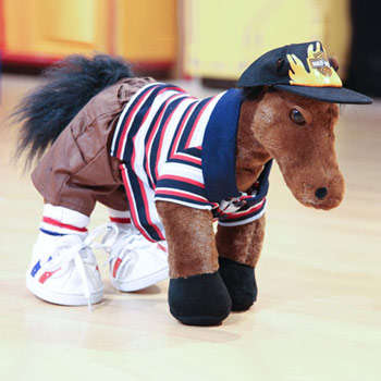Mare Bear the Horse for Teddy Bear Clinic