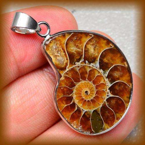 AMMONITE FOSSIL 27  x 27 x 5 MM  GEMSTONE  PENDANT 18K WHITE GOLD PLATED