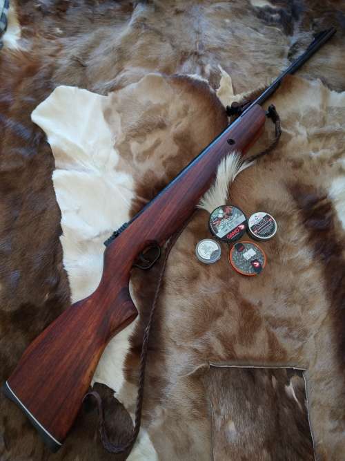 Mendoza RM 10 Airgun