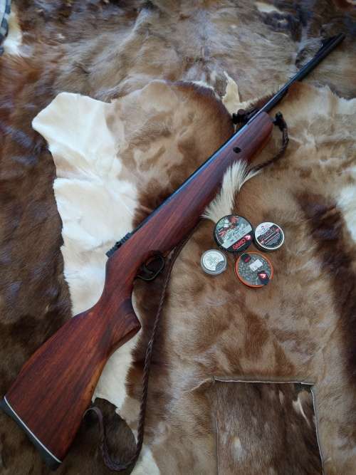 Mendoza RM 10 Airgun