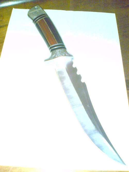 STUNNING HUNTING KNIFE 33cm LONG ,BLADE SS STEEL WITH WOOD HANDLE