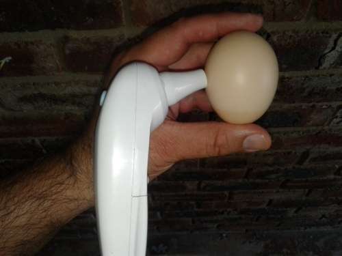 How To Make R5000 (or more) Per Month With Chickens In South Africa!