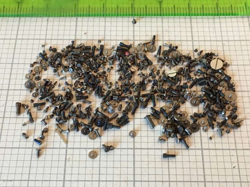 5 grams assorted used watch screws #1