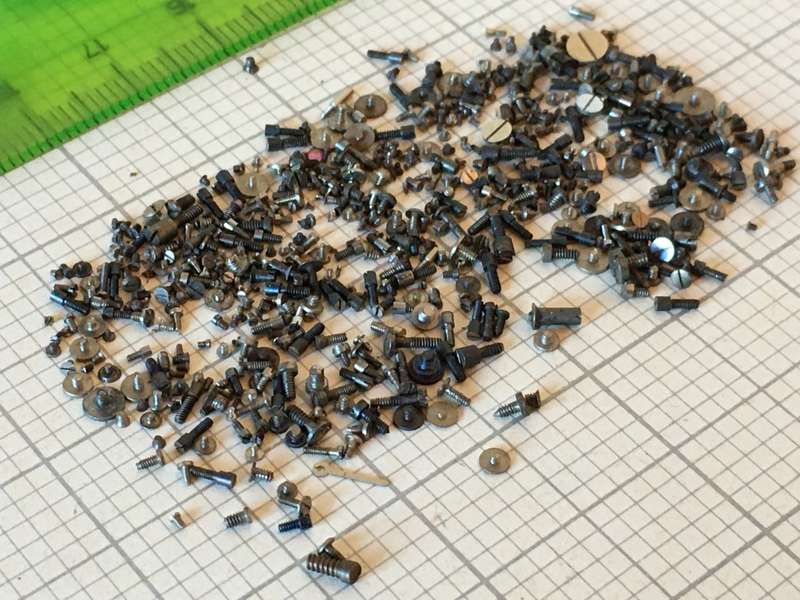 5 grams assorted used watch screws #1