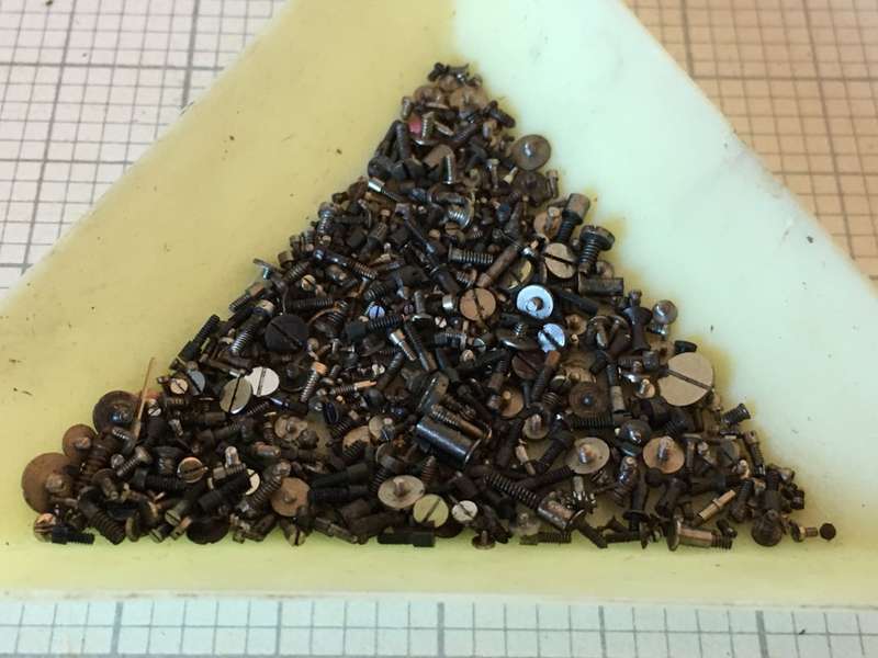 5 grams assorted used watch screws #1