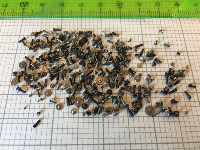 5 grams assorted used watch screws #2