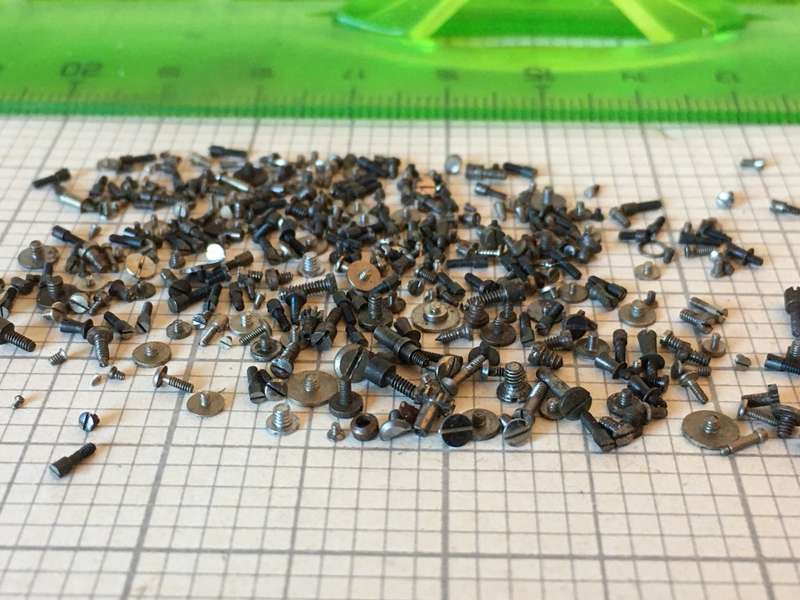 5 grams assorted used watch screws #2