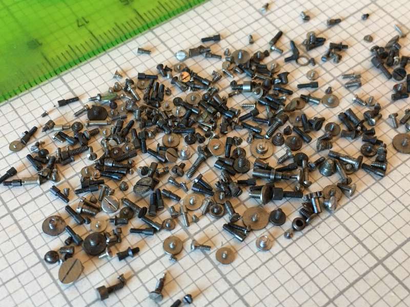 5 grams assorted used watch screws #2