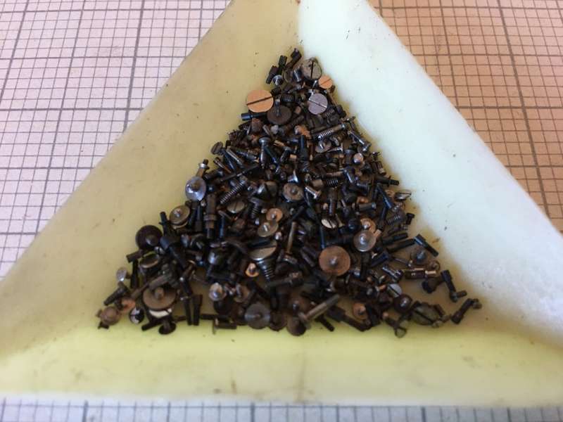 5 grams assorted used watch screws #2