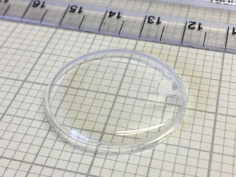 ROTARY  AS 1555/1581 - 283mm acrylic crystal with magnified date display