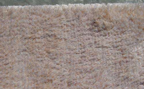RUGS & CARPETS: SHAGGY RUG