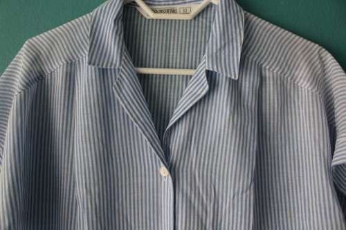 Vintage Striped Blue and White Button Up Shirt (Small / Medium)
