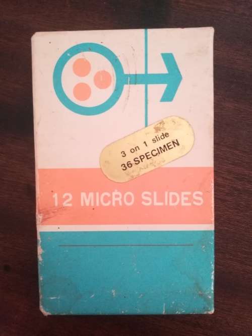 Vintage Microscope Slides with 36 Specimens (Complete Set)