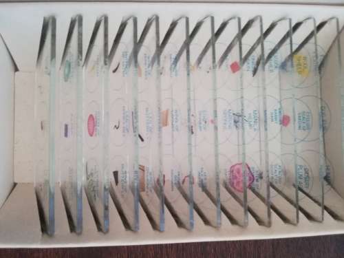 Vintage Microscope Slides with 36 Specimens (Complete Set)