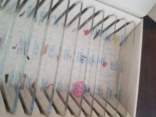 Vintage Microscope Slides with 36 Specimens (Complete Set)