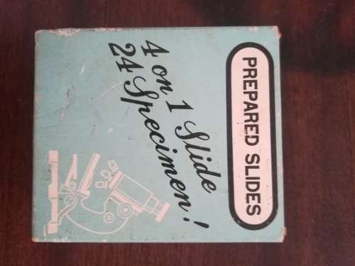 Vintage Microscope Slides (Complete set of 24 specimens)