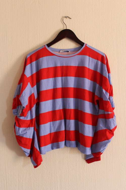 Blue and Red Shirt from Zara (Medium)