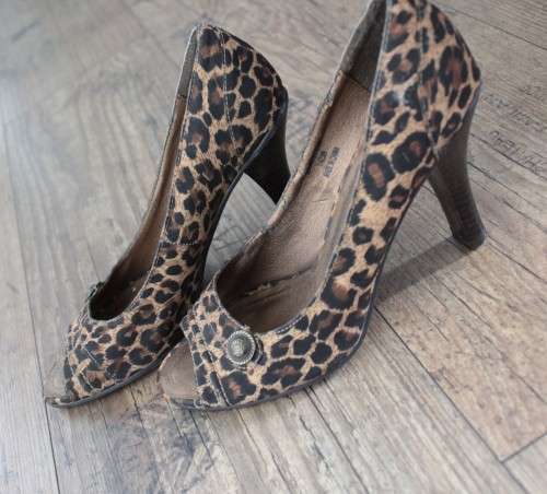 Stunning Animal Print Heels (Size 4) by Rouge