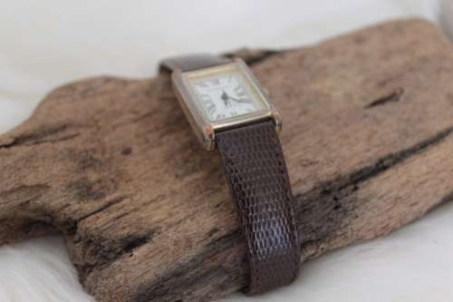 Vintage Ladies Wrist Watch (Length of 14 to 18.5 cm and 1cm wide strap)