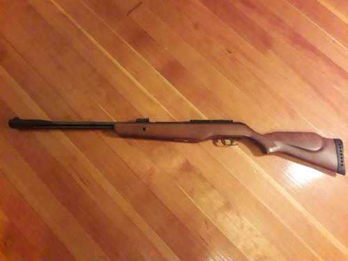 Gamo CFX Royal Air Rifle