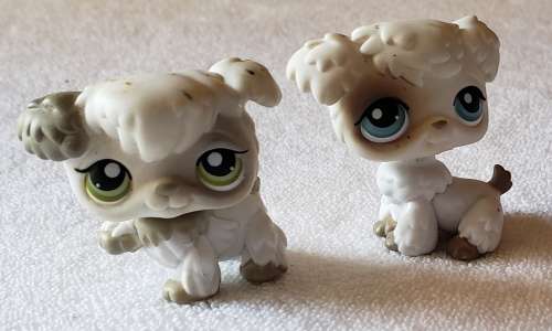 Littlest pet shop - 2 Lambs