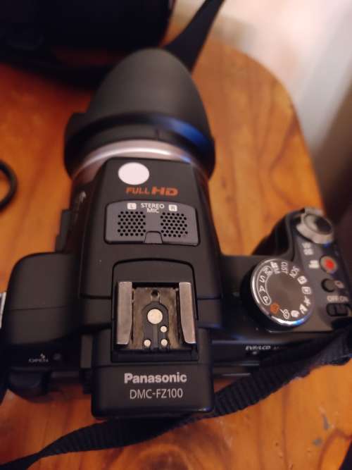Panasonic Lumix (DMC-FZ100)
