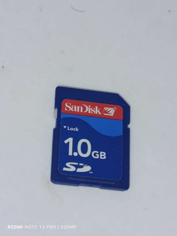 SanDisk 1GB SD Card