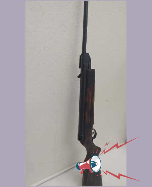 Air Riffle
