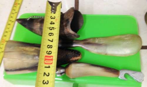 Bottle Opener -Vase -Salt shaker- Shoe horn - Hand carved bovine horn