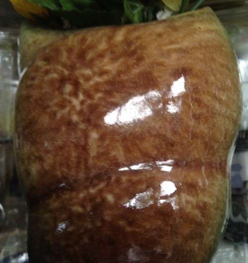EXCEPTIONALVase Wall PocketLooKatMyBUY NOWNO WAITING