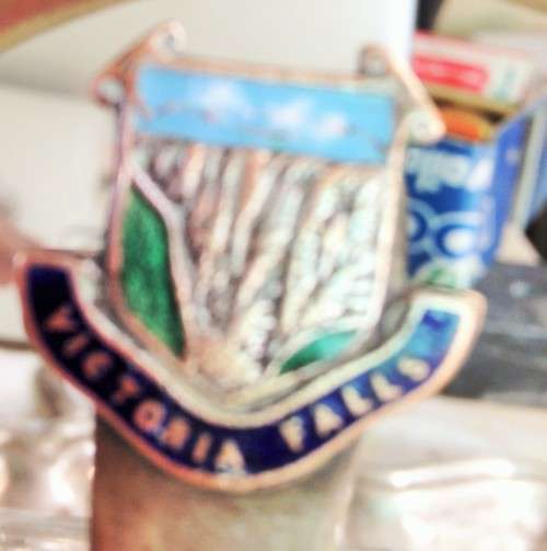 JARin*EPNS HOLDER*VIC FALLS LONG TSPOON!!GREAT COUNTRY HOME DECOR!*L@@K@myBUY NOW*items*NO WAITING