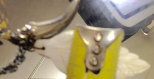 Genuine MOTHER Of Pearl Leaf Metal Chilli on Chains