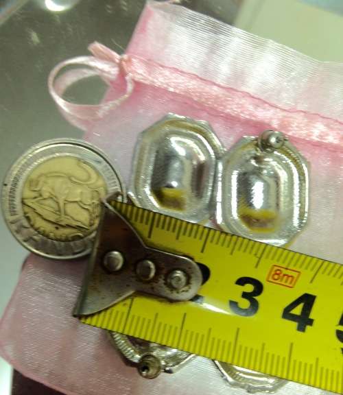 Pink Enamel Earrings Red Stones Synthetic + Chiffon Bag LOOK At My BUY NOW listings NO WAITING